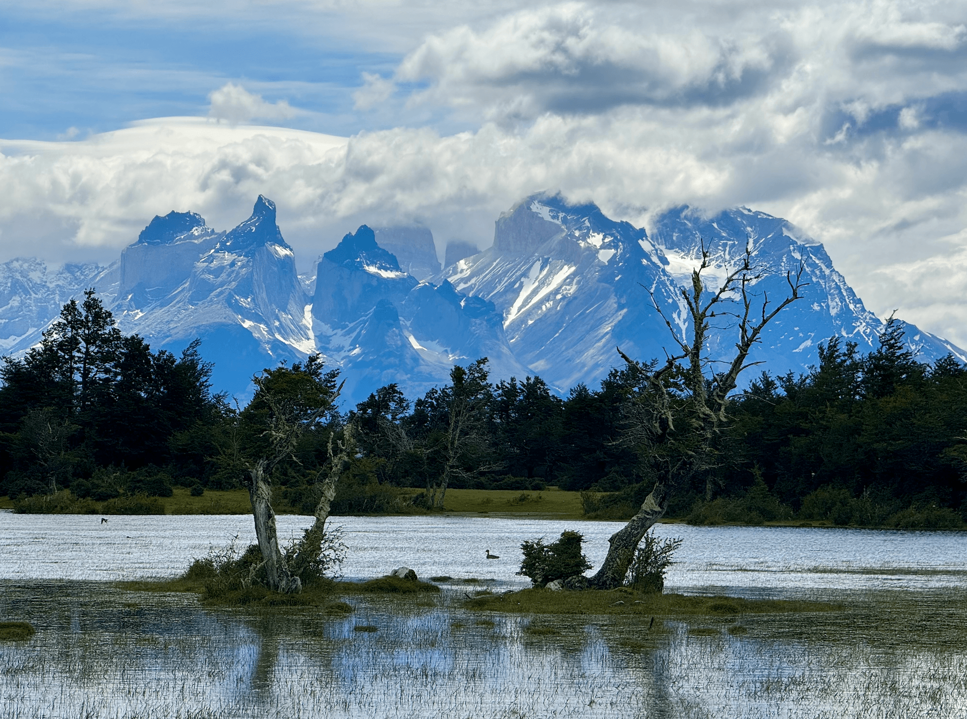 Dramatic Patagonian landscape near Refugio Vista al Paine on a Torres del
Paine day hike, rugged peaks, glacial lakes, perfect for vegan travelers